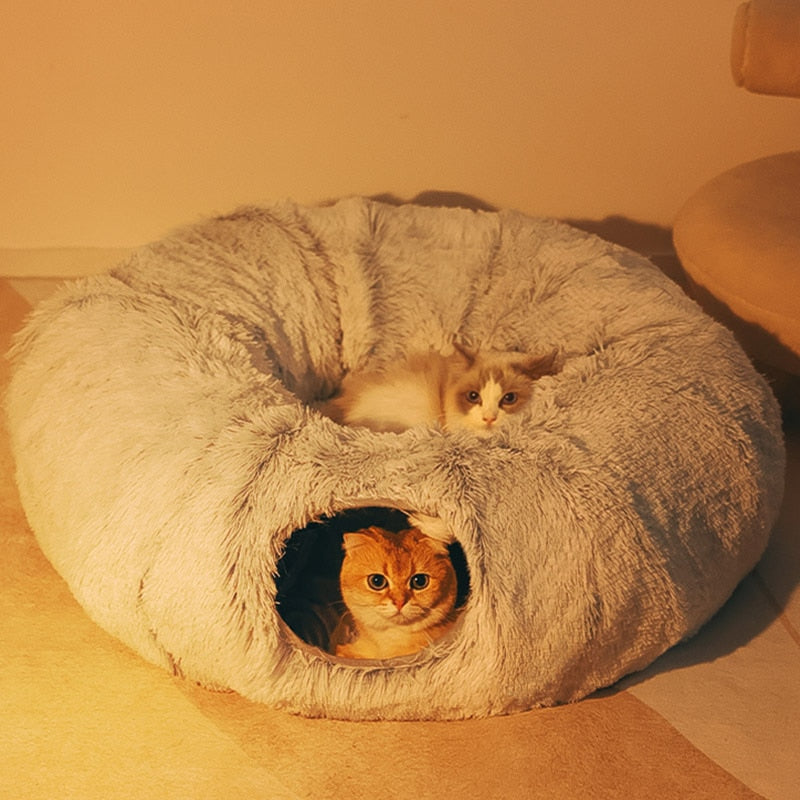 cat bed, pet bed, bed, pet supplies, pet supply, white cat bed , collapsible, collapsible pet bed